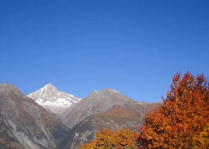 ベッド・アンド・ブレックファスト B＆B アイショル Eischoll