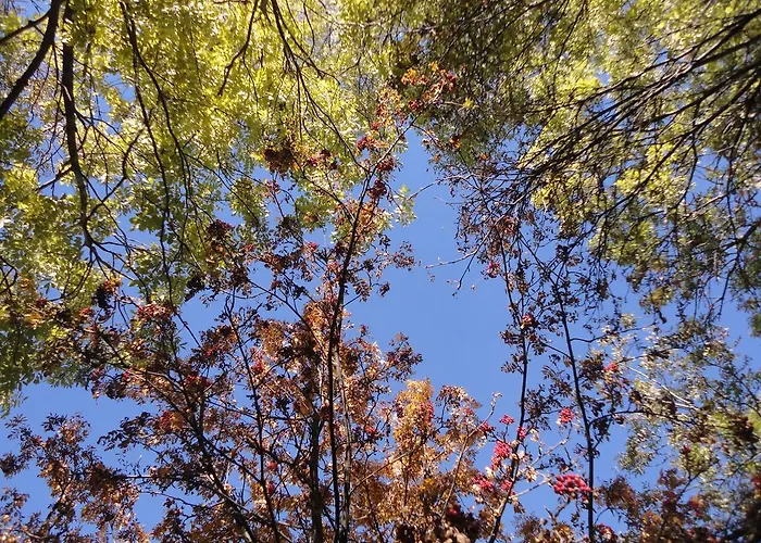 ベッド・アンド・ブレックファスト B＆B アイショル Eischoll