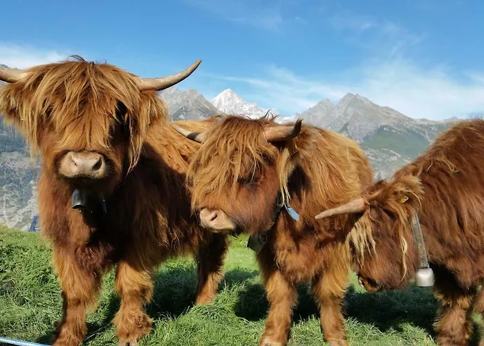 B＆B アイショル ベッド・アンド・ブレックファスト