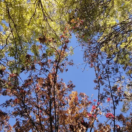 Bed and Breakfast B&B Eischoll Eischoll