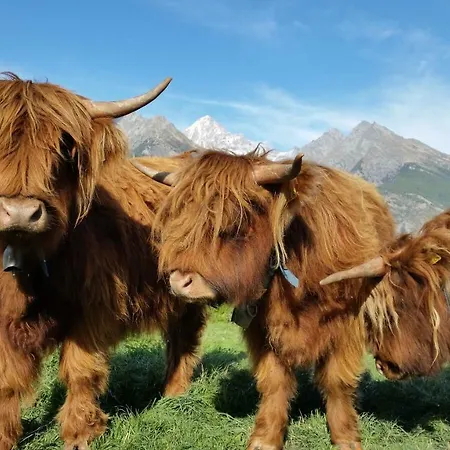 B&B Eischoll Bed and Breakfast