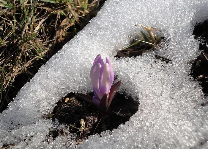 B&B Eischoll Eischoll